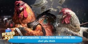 Đá gà Campuchia - 3 hình thức được nhiều dân chơi yêu thích