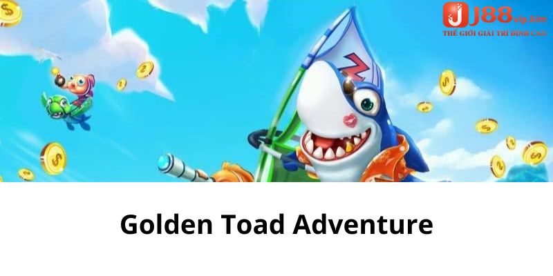 Golden Toad Adventure